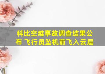 科比空难事故调查结果公布 飞行员坠机前飞入云层